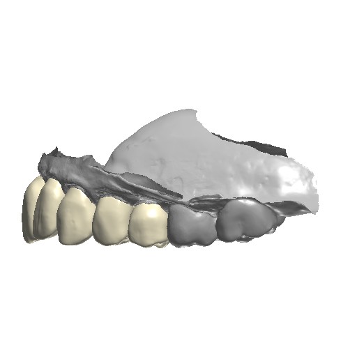 all-ceramic crowns